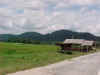 107-pasir.JPG (55518 bytes)